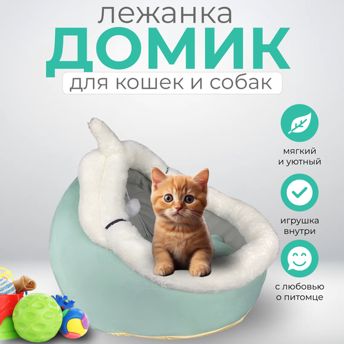 ���� �����-������� ��� ����� ������, ������ ������