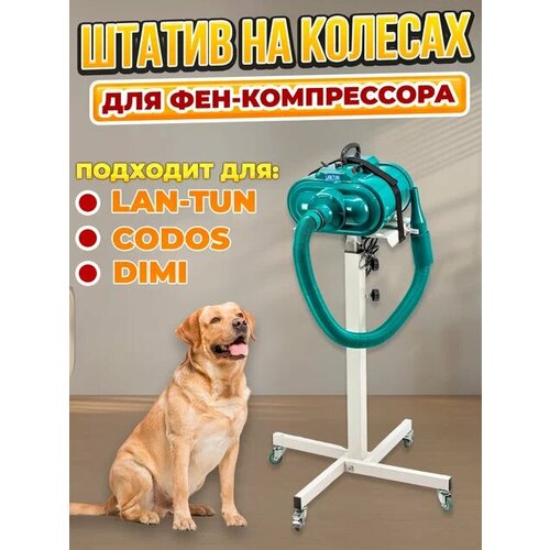 ���� ��������� ��� ���� ����������� / ������ ��� ���� Lan Tun, ZENNER �� ������� �������������, ������ ������