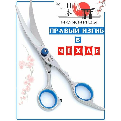 ���� �������������� ��������� ������� ������� ������� ��������, ������ ������