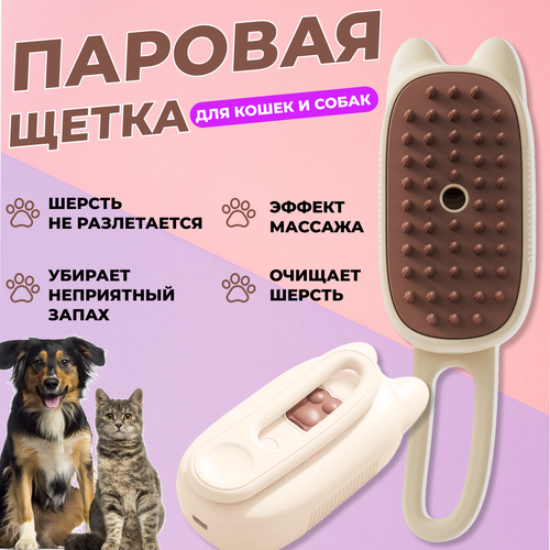 ���� �������� ��� ����� � �����, ������� �����, �����������. 3 � 1, ������ ������