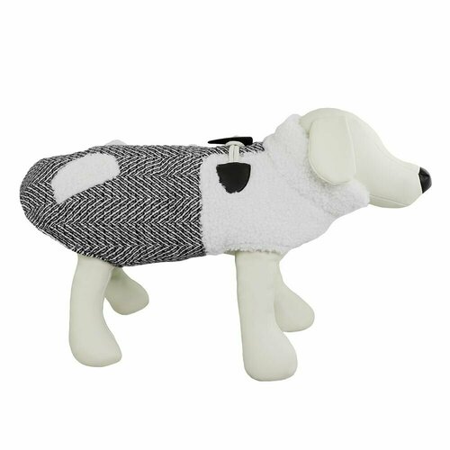 ���� �������/����� ��� �����, ������ ��� �����, 