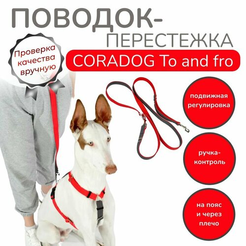  -      , hands free -  , CORADOG To and fro,  2,5 ,      ,    -     , -  