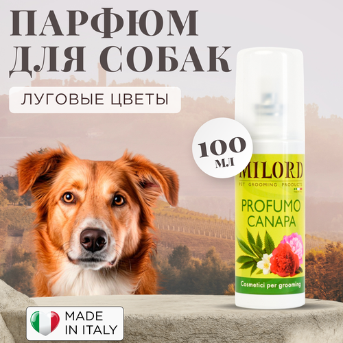 ���� ���� ��� ����� c ����������� ��������� ��������, ������ ��� �������� MILORD Canapa, ����������� ������, 100 ��, ������ ������