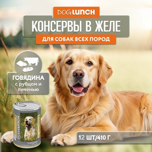      Dog Lunch , ,  1 .  12 .  410    -     , -  