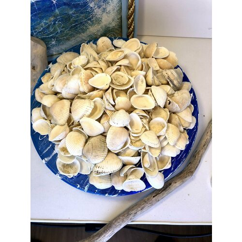 ���� �������� ������� �� ������� 1000��. 1��-4��./��� ����������/��� ���������/������� ��� �����������, ������ ������