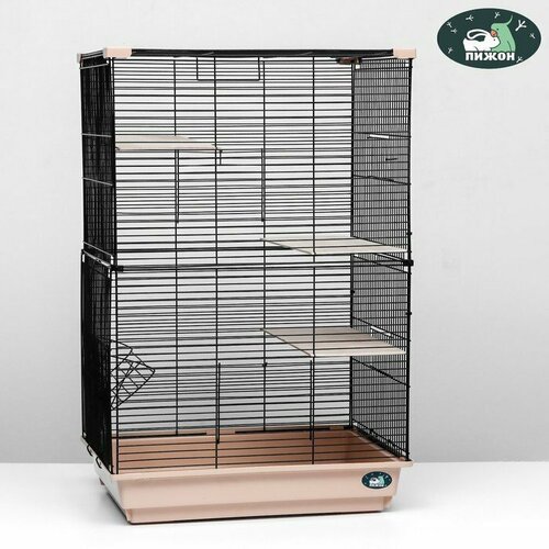 ���� ������ ��� �������� 