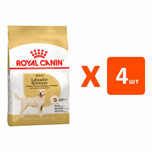  ROYAL CANIN LABRADOR RETRIEVER ADULT      (3   4 )   -     , -  