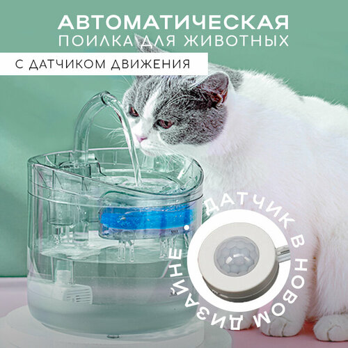 ���� ���������� ������ � �������� �������� ��� �����, ����� � �������� �������� 2 �. ������ �� ��������., ������ ������