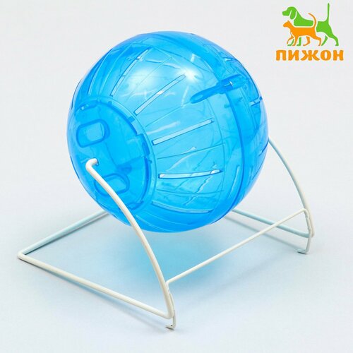 ���� ��� ��� �������� �� ������������� ���������, 12 ��, �����, ������ ������