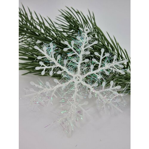 ���� �������� � �������. ������� 12 ��, 12 ��., ������ ������