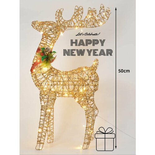 ���� ���������� ����� ���� ������ 50 ��, ������ ������