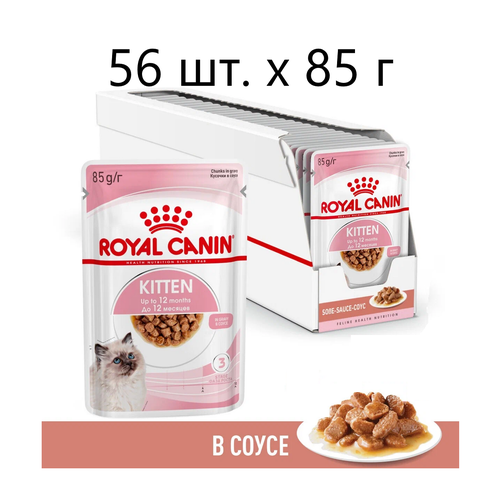      Royal Canin Kitten, 56 .  85  (  )   -     , -  