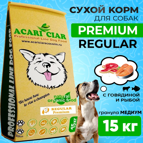         / Acari Ciar Regular ( ) 15   -     , -  