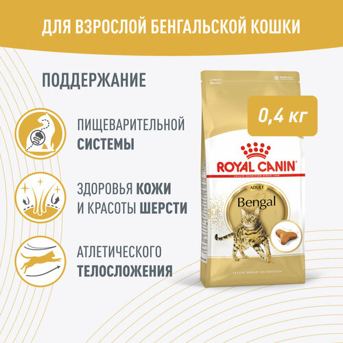    ROYAL CANIN Bengal Adult      12  ( ) 0,4    -     , -  