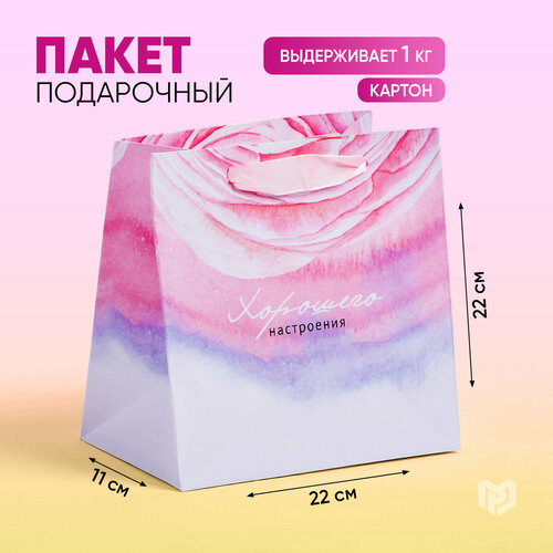 ���� ����� ���������� ���������� ���������, 22 � 22 � 11 ��, ������ ������