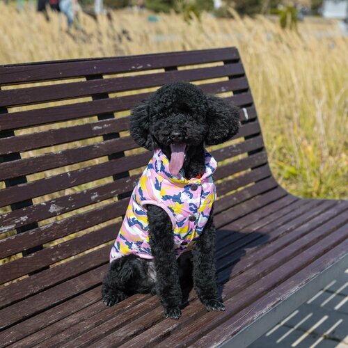 ���� ���������� ��� �����, 