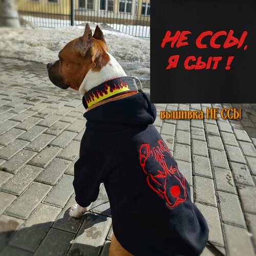 ���� ���� ��� ����� � �������� 