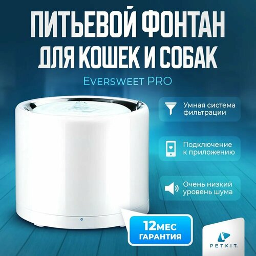              Eversweet 3 PRO   -     , -  