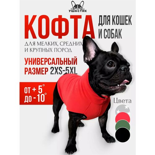 ���� ��������� ��� �������� �������, ������ 4XL, ������� ����, ������ ������