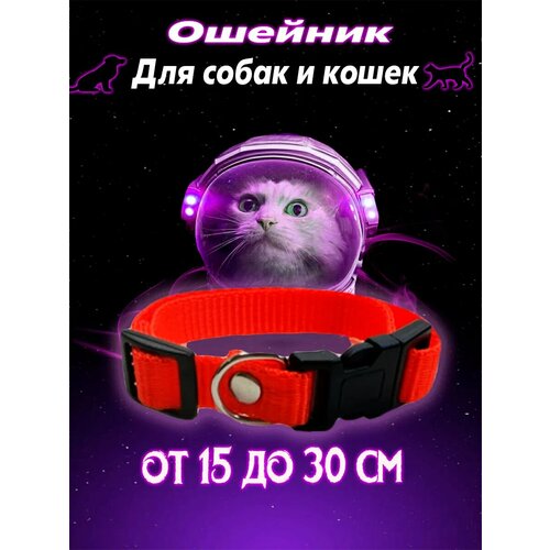 ���� ������� ��� ������ ����� ����� *Paws & Tail*, ���������, S 15-30 ��, ������ ������