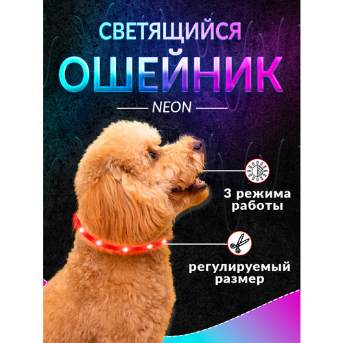 ���� C��������� ������� � usb ��������, ������������ �� �����, ��� ����� �� 50 ��, ������ ������