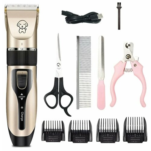 ���� ������� ��� ������� ����� � ����� � �����������. ����� ��� �������� �������� ����� ����, ������ ������