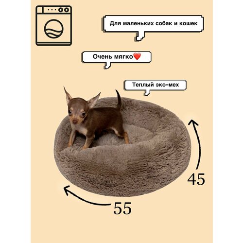 ���� ������� 