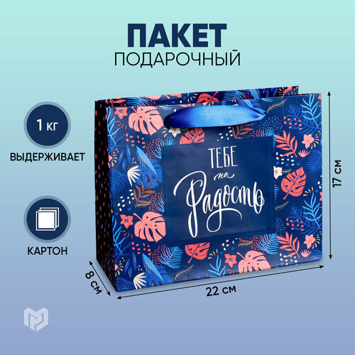 ���� ����� ���������� ������ ������� ���� �� �������, 22 x 17,5 x 8 ��, �������/�����/������, ������ ������