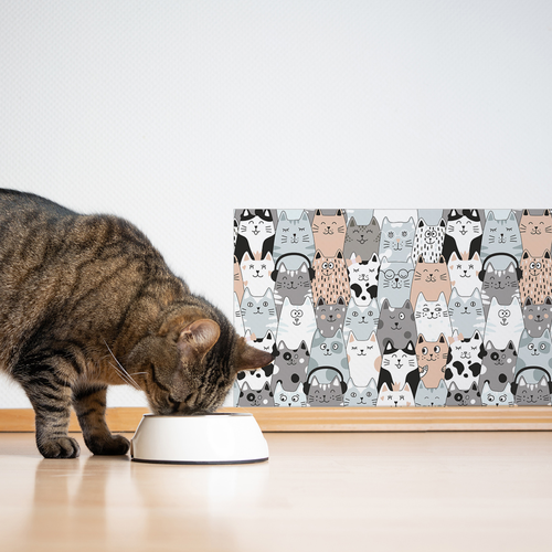 ���� �������� ������������� ������ / ������ ��� ������������� ���� � ���� �� ����� ��������� ��� ������� 