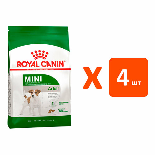  ROYAL CANIN MINI ADULT      (4   4 )   -     , -  