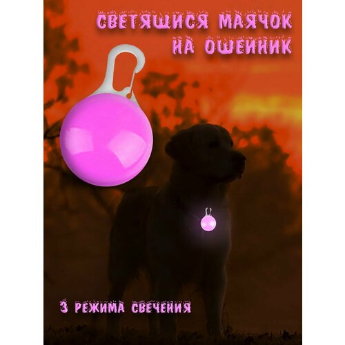 ���� ������ �� �������, ���������� �������, ������ ������