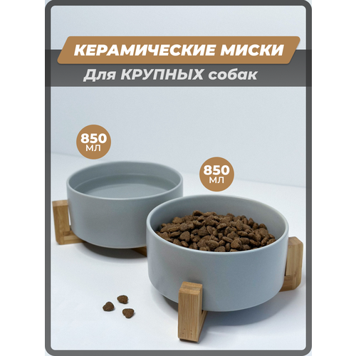 ���� Shanly ������� ������������ ����� ��� ����� � ����� �� ���������� ���������, ����� ��� �������� �� 850 ��, ������ ������