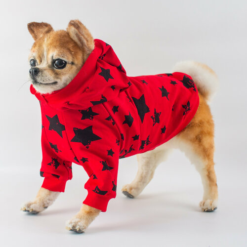 ���� ������ ��� ����� ���������� �����, ����� ����� �����, ������ M, ������ ������