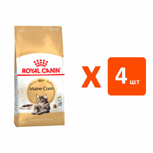  ROYAL CANIN MAINE COON ADULT      (4   4 )   -     , -  