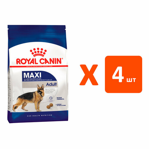  ROYAL CANIN MAXI ADULT      (3   4 )   -     , -  