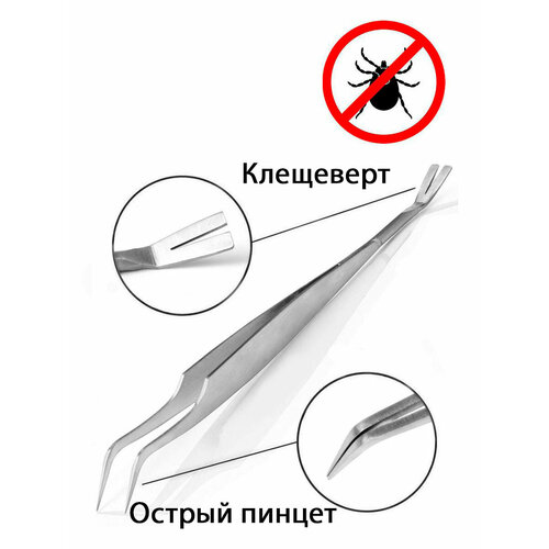 ���� ���������. ������������� ���������� ��� �������� ������ � ����� �� ����������� �����., ������ ������