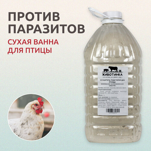 ���� ��������� ��������� ��� �����, ��� ���������, ����� ���������, ����� ����, 5 ������ / 1800 �, ������ ������