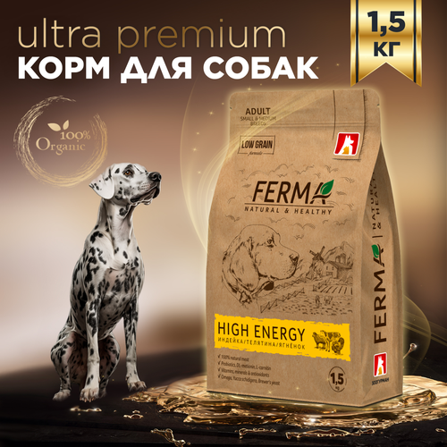           , FERMA HIGH ENERGY // 1,5 .   -     , -  