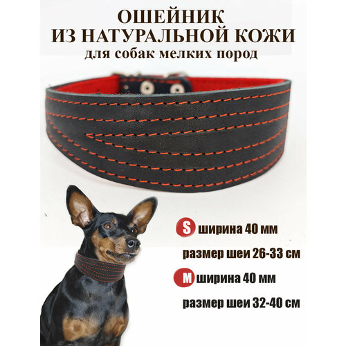   Dober-         -     , -  