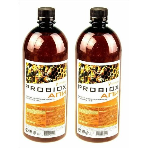 ���� ���������� �������� 