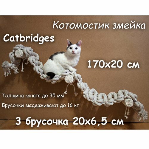       . 17020 , 3  .  32 ,  8  .    Catbridges .  .  .   -     , -  