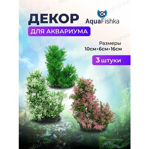 ���� ����� ��� ��������� ����� ��������, ������ ������