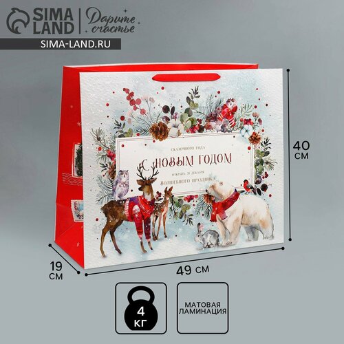 ���� ����� �������������� �������������� �������� ������, XL 49 ? 40 ? 19 �� 1��., ������ ������