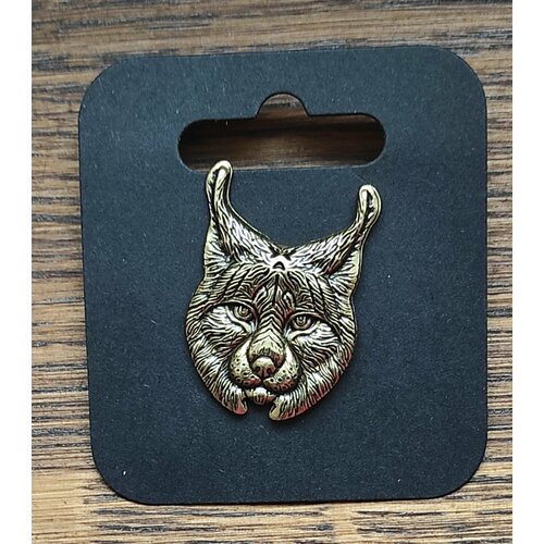 ���� ������ �������� 