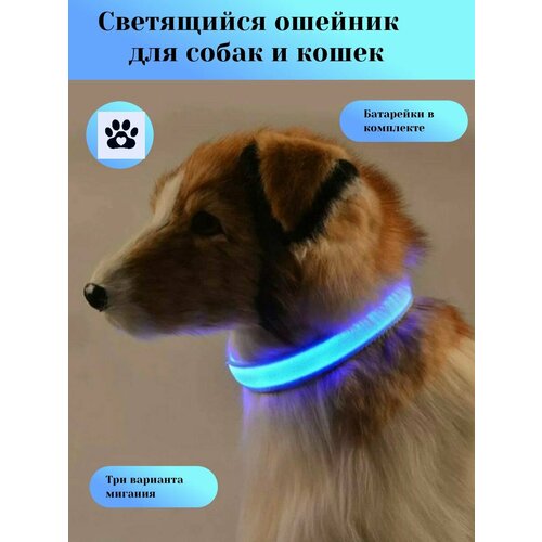 ���� ���������� ������� ��� ����� �������, ������� � ��������� �����, ������������, ������ ������