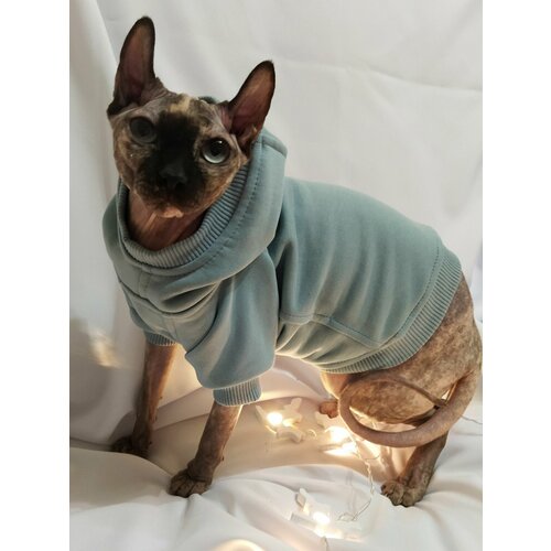 ���� ��������� � ��������� ��� ����� � ����� ������ ����� (��������), ������ ������