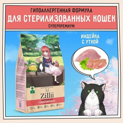          2 ,  ZILLII (),      -     , -  