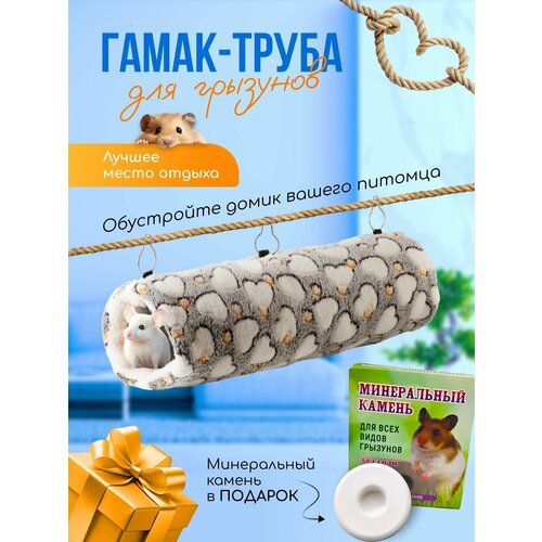 ���� �����-����� ��� ��������, ����, ������� ������� 47�� �����, ������ ������