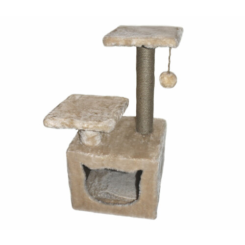 ���� ���������� ����� 