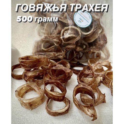 ���� ������� ������. ����������� ��������� ��� �����, 500 ��., ������ ������